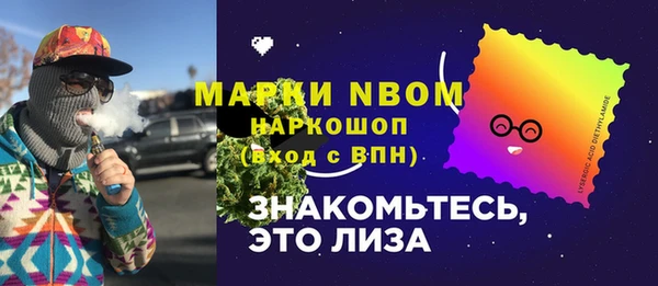 дмт Богородицк